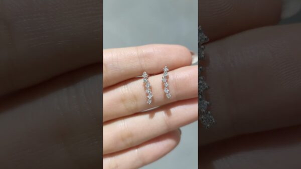 0.20 Ct Delicate Diamond Earrings product video