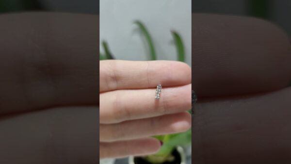 Pırlanta 0,06 Ct Tria Tek Küpe ürün videosu